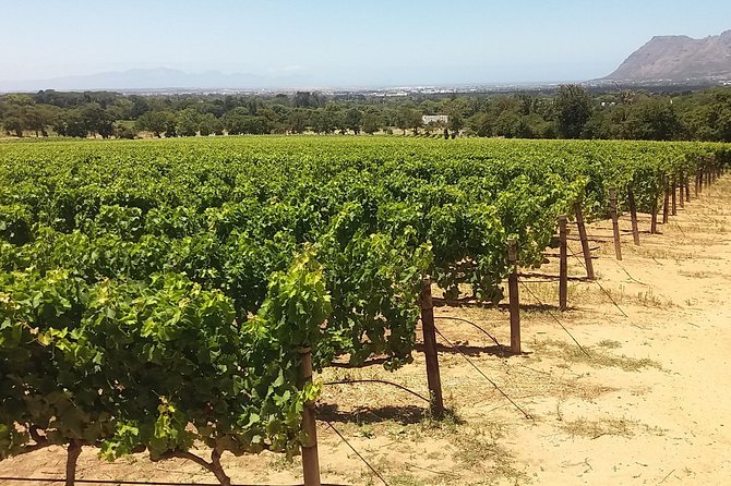 Private Visit to the Wineries Stellenbosch Franschoek from Cape Town Full Day - Groot Drakenstein Prison: Mandela’s House Arrest Stop in the Winery Belt