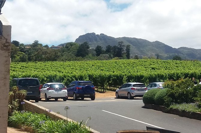Private Visit to the Wineries Stellenbosch Franschoek from Cape Town Full Day - Bergkelder Wine Centre: Learning Wine Production in a Mountain Cellar