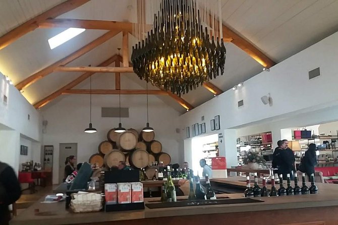 Private Wine tasting Cape Town Wineries Stellenbosch Franschoek Paarl full Day - Getting to the wineries: pickup at the Silo Hotel and an air-conditioned pace
