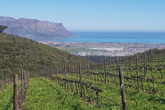 Private Wine Tasting Tour in Constantia, Cape Town - Key things that make this Constantia tour work