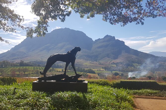 Private Wine Tasting Tour in Constantia, Cape Town - Wine Tastings and Costs: What You Pay for and Why