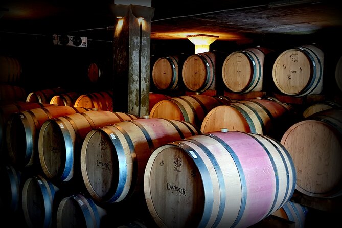 Private Wine Tasting Tour in Constantia, Cape Town - Lunch in the Winelands: Pay for What You Want