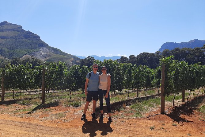 Private Wine Tour of Stellenbosch, Franschhoek and Paarl - Private Winelands wine tour, the practical way to do it