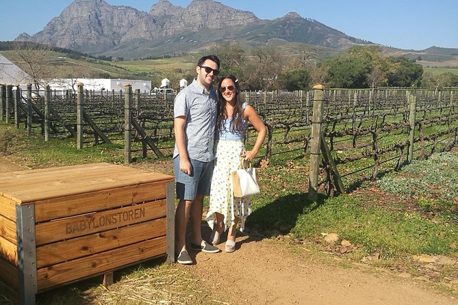 Private Wine Tour of Stellenbosch, Franschhoek and Paarl - Franschhoek stop: wine valley views plus town time