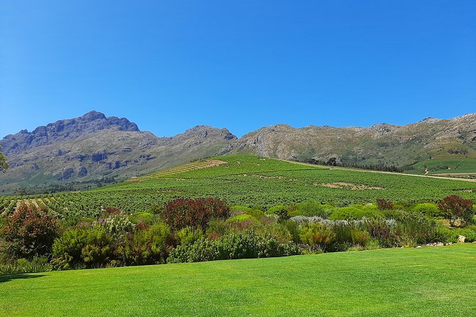 Private Wine Tour of Stellenbosch, Franschhoek and Paarl - Price and value: is $148.10 per person a good deal?