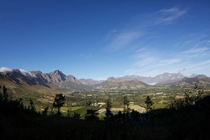 Private Wine Tour with Wine Expert to Stellenbosch-Franschhoek Wine Regions - Should you book this private Stellenbosch-Franschhoek wine tour