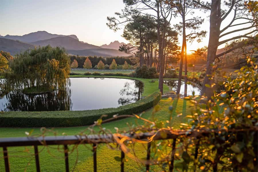 Private Winelands Immersive Experience Full Day - Paarl and Rhebokskloof: Cheese, Cellar Tours, and the Wine-Chocolate Moment
