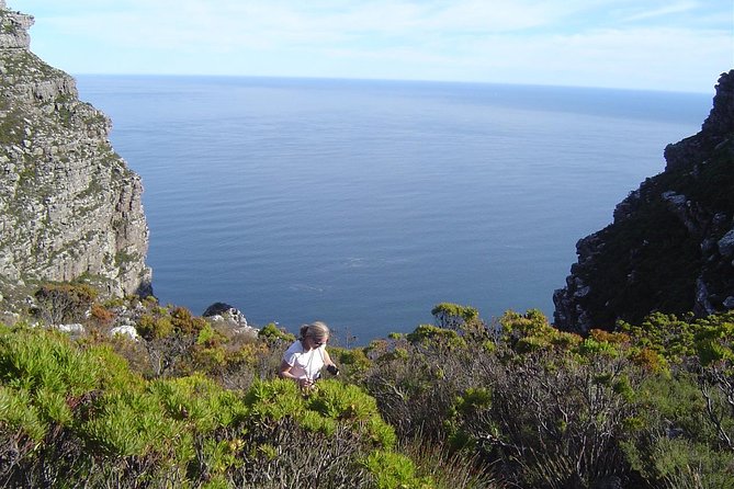Privately guided Table Mountain hike - Key Highlights You’ll Feel During the Hike