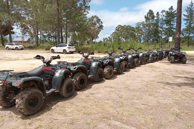 Quad Bike Fun Ride in The Crags, Plettenberg Bay - Should you book this quad biking ride in The Crags?