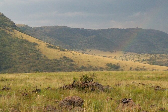 Roar through the bush Quadbike Safari Adventure near Johannesburg - Morning Timing From Pretoria, With a Ride That Starts Early