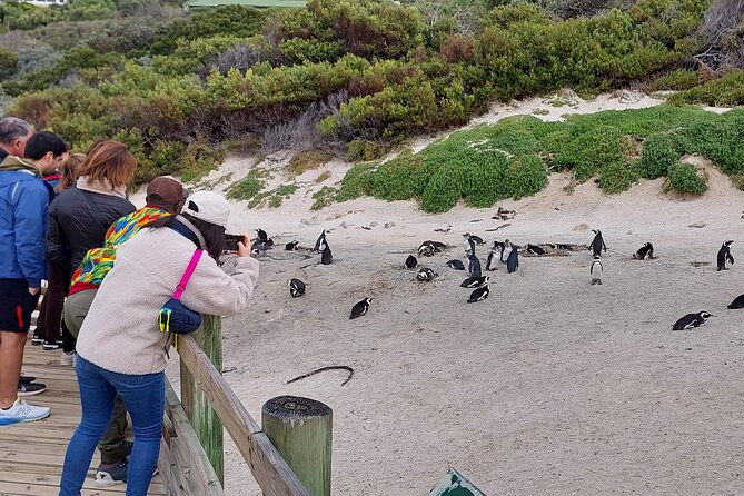 Robben Island and Table Mountain Guided tour - Key Highlights You’ll Feel Right Away