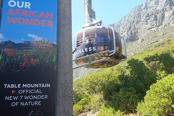 Robben Island and Table Mountain Guided tour - Why This Cape Town Combo Works When Your Time Is Short