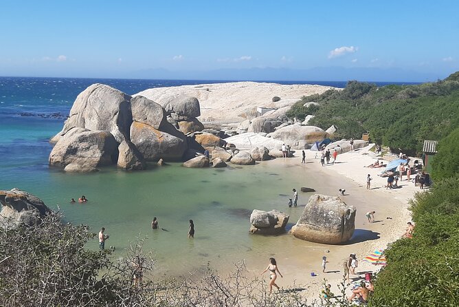 Robben Island and Table Mountain Guided tour - The Drive Between Stops: Air-Conditioned Comfort and Photo Guidance