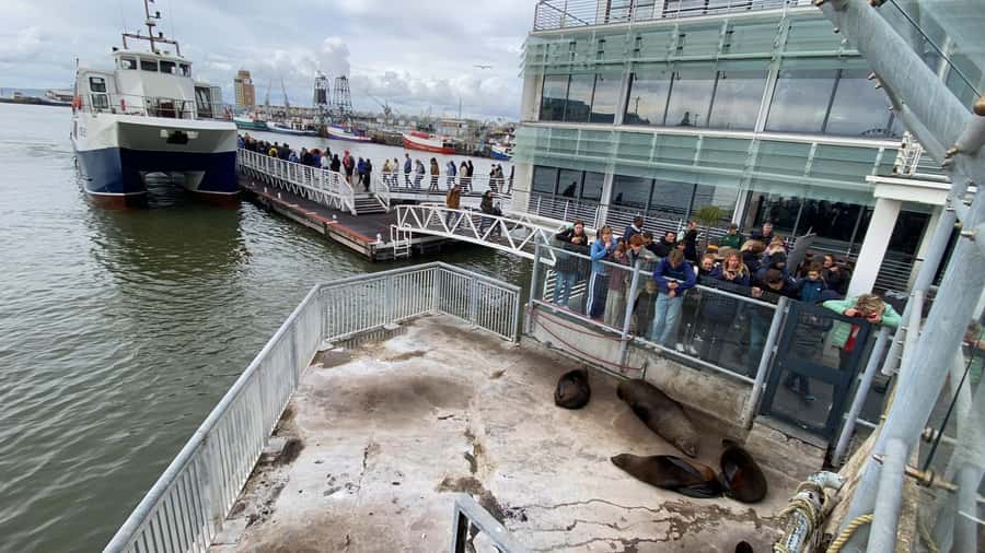 Robben Island Half Day Tour with Pre-Booked Ticket - Key highlights at a glance