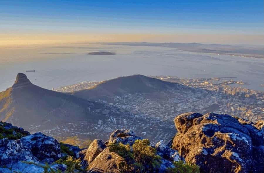 Robben Island Half Day Tour with Pre-Booked Ticket - Who this half-day Robben Island tour suits best