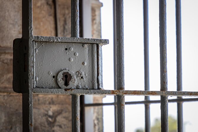 Robben Island Half Day Tour with Pre-Booked Ticket(s) - Robben Island Museum by ferry: what the half-day schedule really gives you