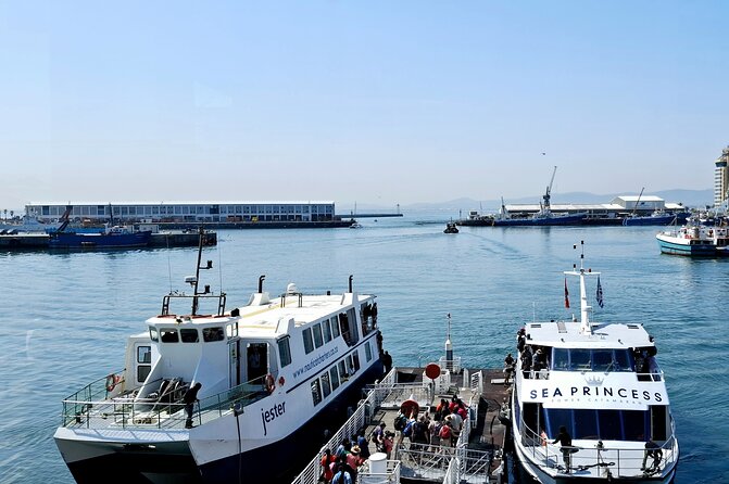 Robben Island heritage site with a half day tour - Why the guide style really changes your day