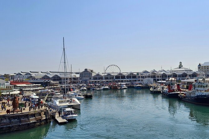 Robben Island heritage site with a half day tour - Logistics that affect how much you enjoy it