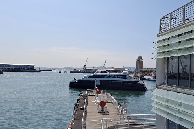 Robben Island heritage site with a half day tour - Who should book this half-day Robben Island tour