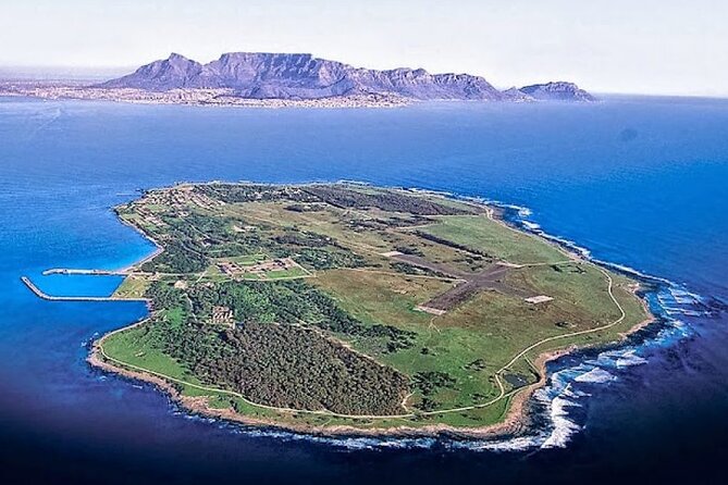 Robben Island ,Kirstenbosch Gardens and Groot Constantia. - Kirstenbosch Gardens in the afternoon: 2 hours that can feel like a whole chapter