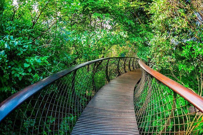Robben Island, Kirstenbosch wine tasting Tour - Kirstenbosch National Botanical Garden: your reset after the prison