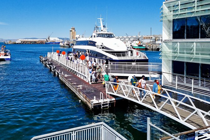 Robben Island Museum - Robben Island Museum, Mandela’s Prison, and Why It Matters