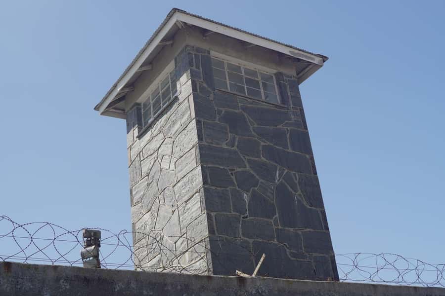 Robben Island Museum and Cape Town City Tour - Who This Tour Fits Best (and Who Should Rethink It)