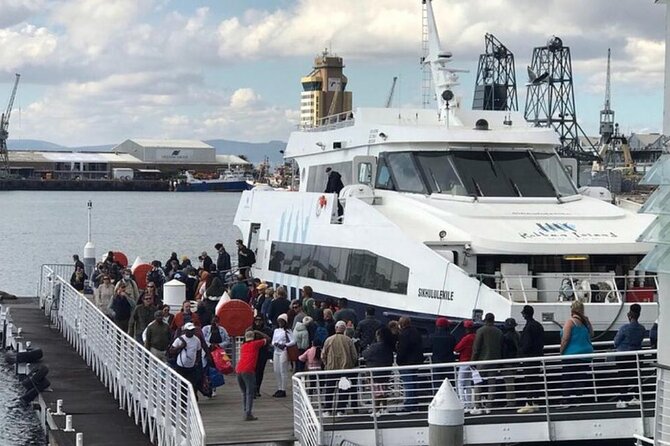 Robben Island Museum Half-Day Tour. Including all tickets. - Your Robben Island guide matters more than you think