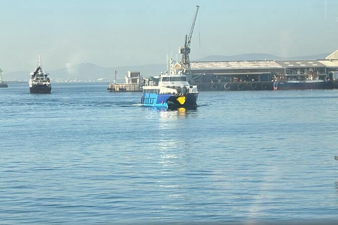 Robben Island Museum Half-Day Tour. Including all tickets. - Timing, weather, and how to protect your day