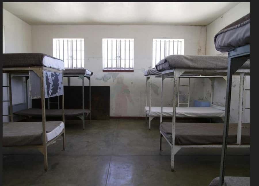 Robben Island Museum Tour with Transfer and Ferry Tickets. - Robben Island in a Half-Day: How the 5-Hour Plan Works