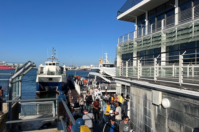 Robben Island Pre-Booked Tickets & Hassle-Free Experience - Where you check in at the V&A Waterfront, and what to expect right after pickup