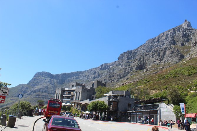 Robben Island Prison Museum Table Mountain Bo-Kaap All Tickets Included Full Day - Table Mountain: the cable car ride and the small wildlife details