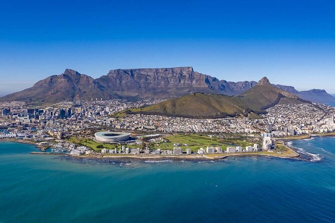 Robben Island Table Mountain and City Private Tour - What You Might See on the Island, Fur Seals, Penguins, and Birdlife