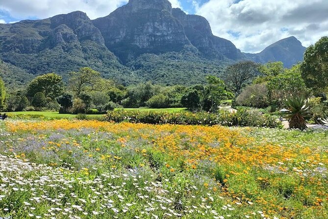 Robben Island, Table Mountain and kirstenbosch from Cape Town - Table Mountain National Park: cable car logistics and summit realities
