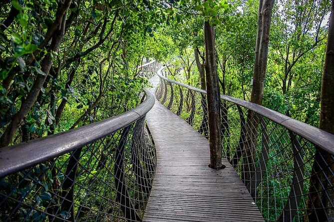 Robben Island, Table Mountain and kirstenbosch from Cape Town - Price and value: what you get for $172.42 per person