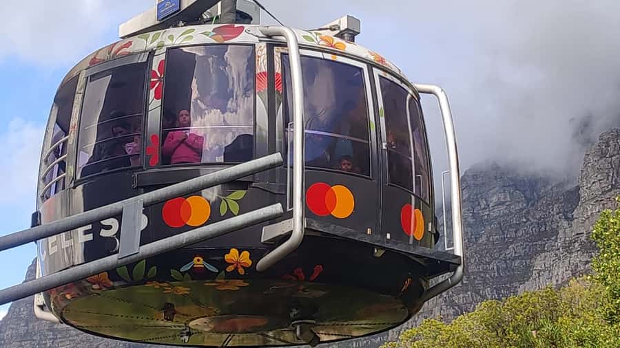 Robben Island,Table Mountain Full day Private Tour Cape Town - Key Things That Make This Tour Worth Your Time