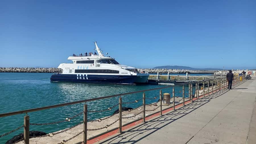 Robben Island,Table Mountain Full day Private Tour Cape Town - Your Full-Day Route: From Hotel Pickup to Table Mountain Views