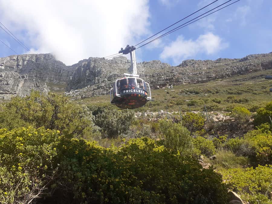 Robben Island, Table Mountain & Kirstenbosch, From Cape Town - Comfort, timing, and how to avoid day-trip frustration