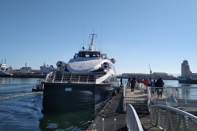 Robben Island Tour including Pick Up & Drop Off from Cape Town - Who this tour fits best in your Cape Town plan
