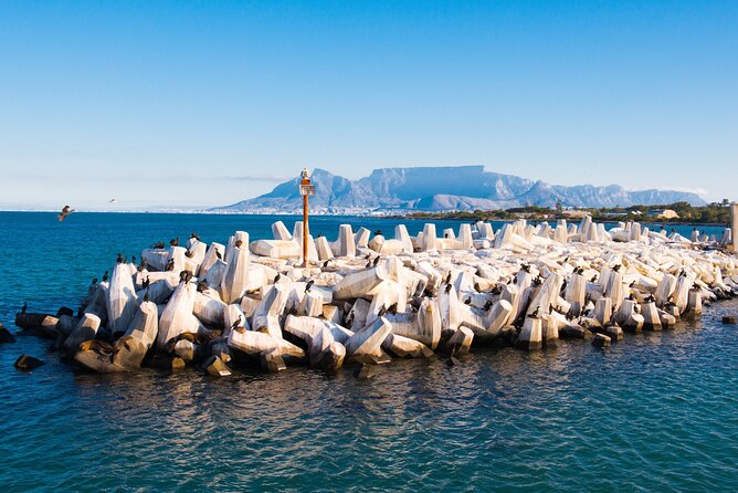 Robben Island Tour; Pickup, Drop-off; Guided Tour Historic Prison - Key things you’ll notice on Robben Island