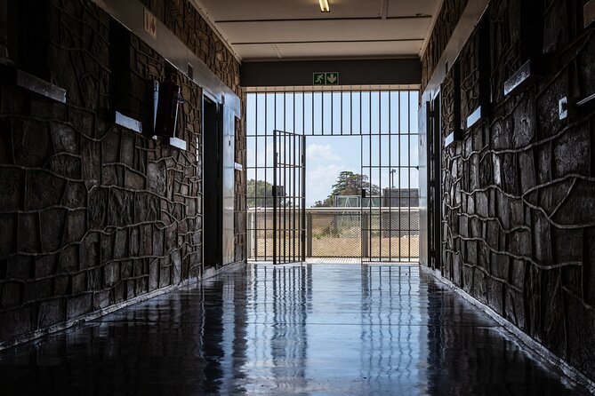 Robben Island Tour & Table Mountain guided Tour - Pickup, Timing, and How the Logistics Land