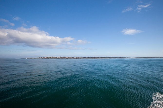Robben Island tour with additional stops at famous spots!! - The Mandela Gateway movie, then the ferry over