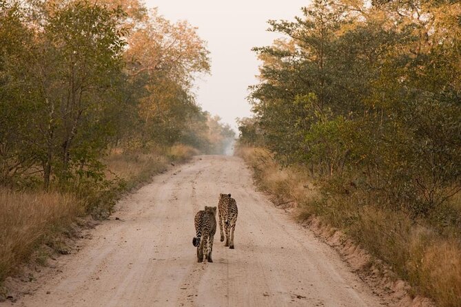 Sabie Game Reserve Sunset Safari Tour with Sundowners - Sundowners, and the meal question you should confirm