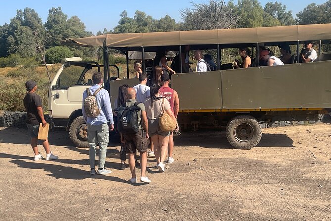 SAFARI Aquila Game Reserve - Round trip + Lunch incl. (Cape Town) - Who This Safari Fits Best (And Who Might Want More)