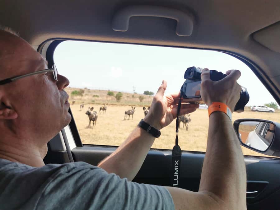 Safari at Lion and Rhino Park / Lesedi Culture Village - Key highlights I’d plan around