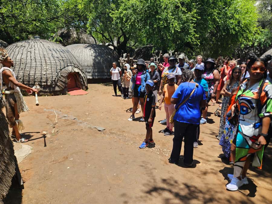 Safari at Lion and Rhino Park / Lesedi Culture Village - Price and Value: What $68 Covers, and What You Pay at the Gates