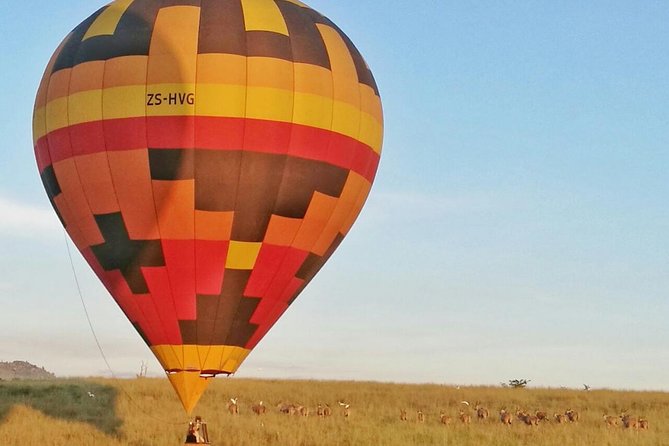 Safari Flight - Key highlights worth knowing before you go