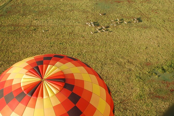 Safari Flight - Why ballooning gives you a different kind of safari in South Africa