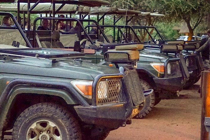 Safari Game Drive: Dinokeng Game Reserve - Key safari takeaways (what matters in real life)