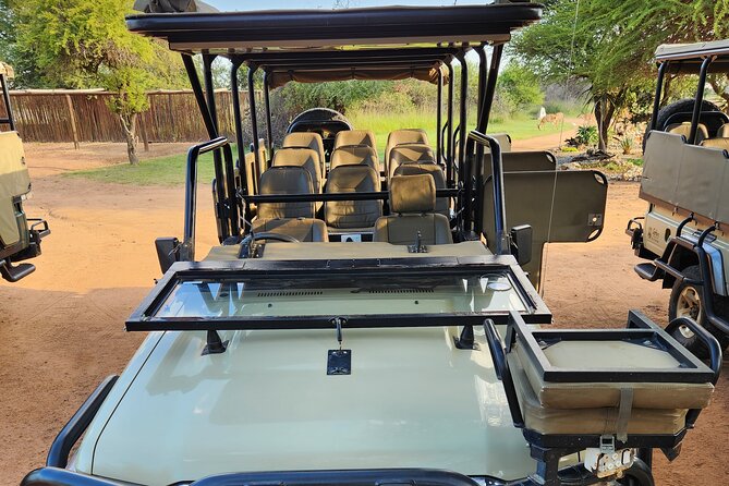 Safari Game Drive: Dinokeng Game Reserve - Comfort, snacks, and what to bring for a smooth ride